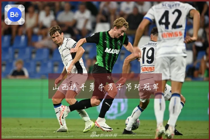 山西选手勇夺男子吊环冠军