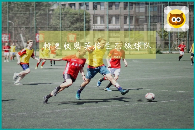 特里收购英格兰乙级球队