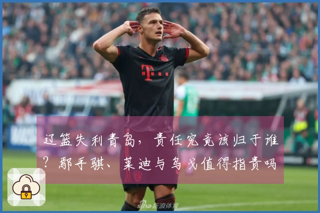 辽篮失利青岛，责任究竟该归于谁？鄢手骐、莱迪与乌戈值得指责吗？