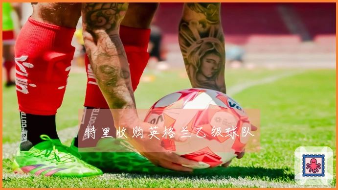 特里收购英格兰乙级球队