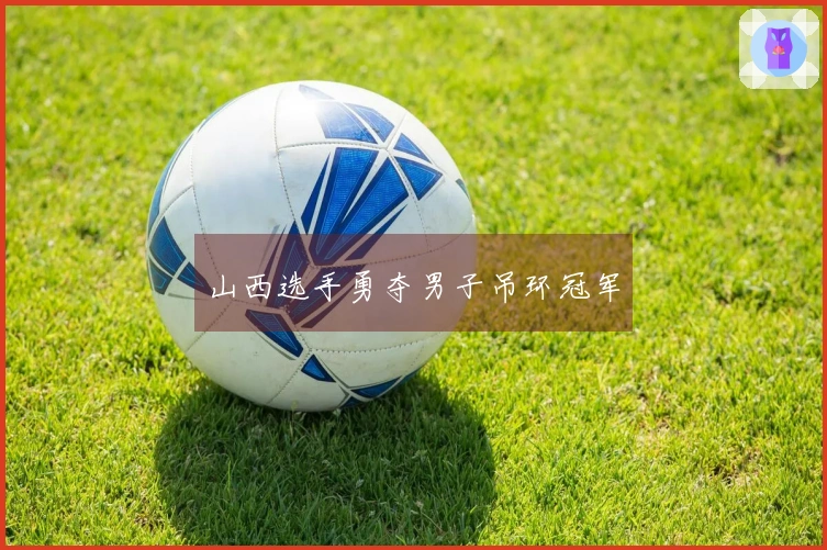 山西选手勇夺男子吊环冠军